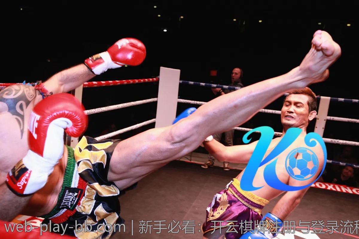 新手必看：开云棋牌注册与登录流程详解