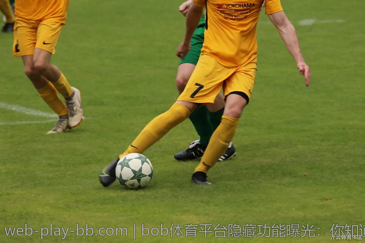 bob体育平台隐藏功能曝光：你知道多少？