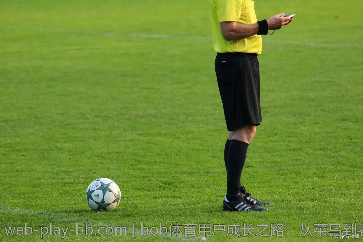bob体育用户成长之路：从菜鸟到老玩家的蜕变