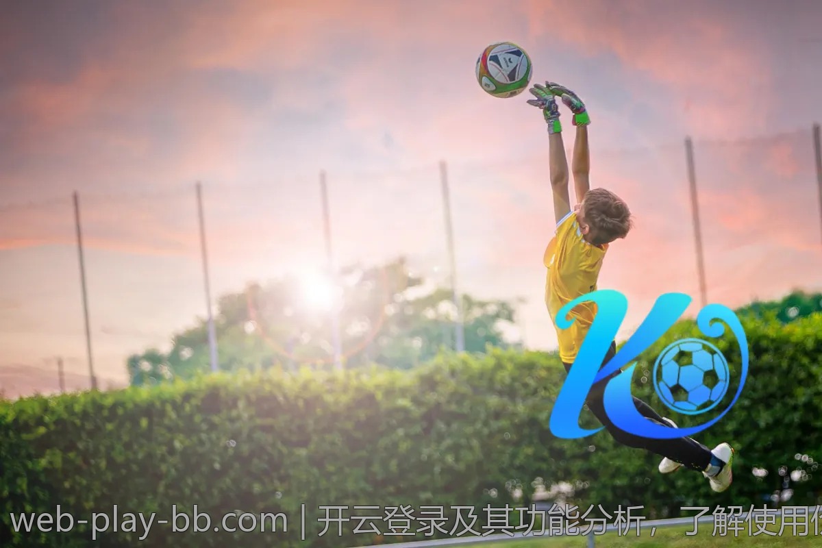 开云登录及其功能分析，了解使用价值