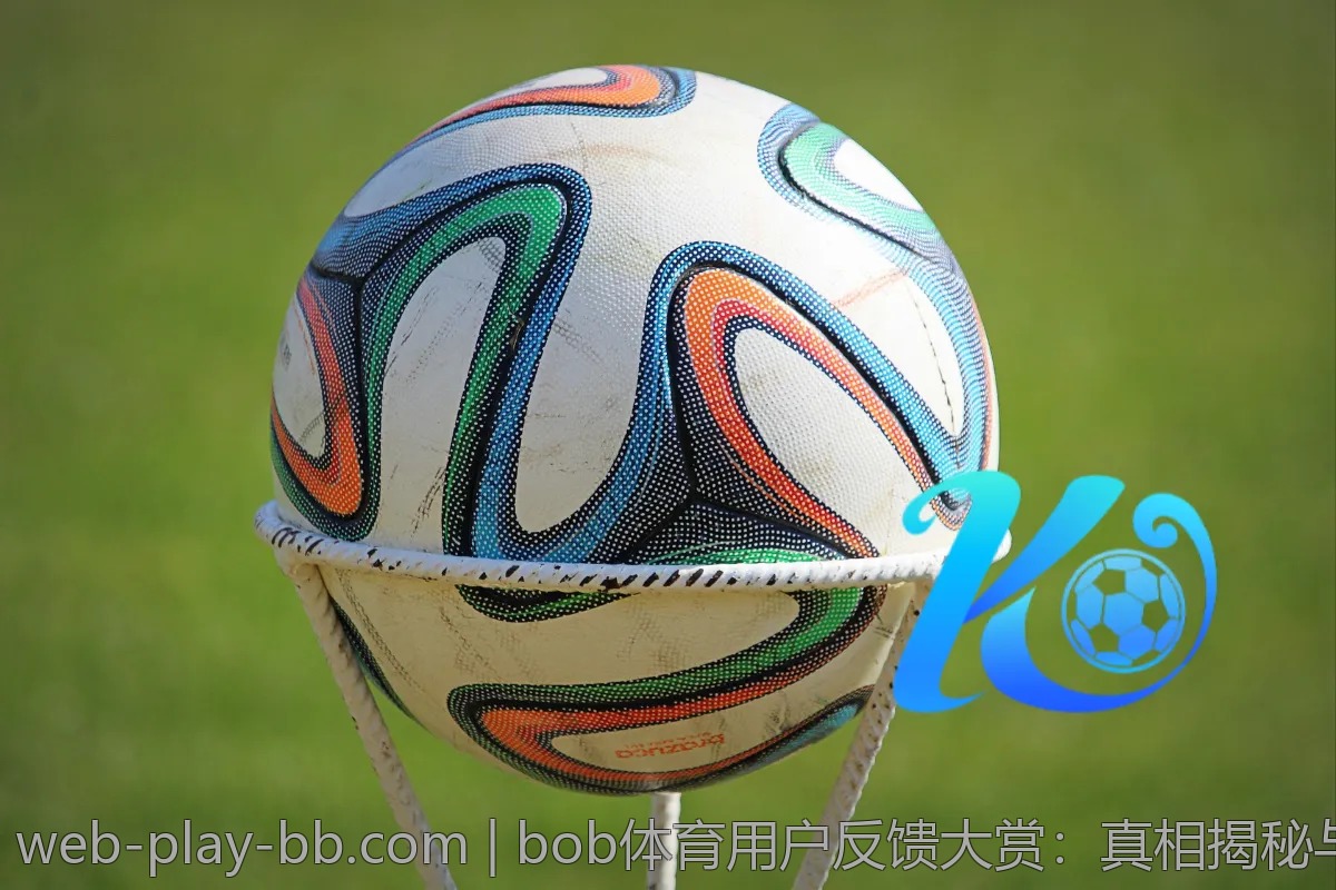 bob体育用户反馈大赏：真相揭秘与个性化推荐