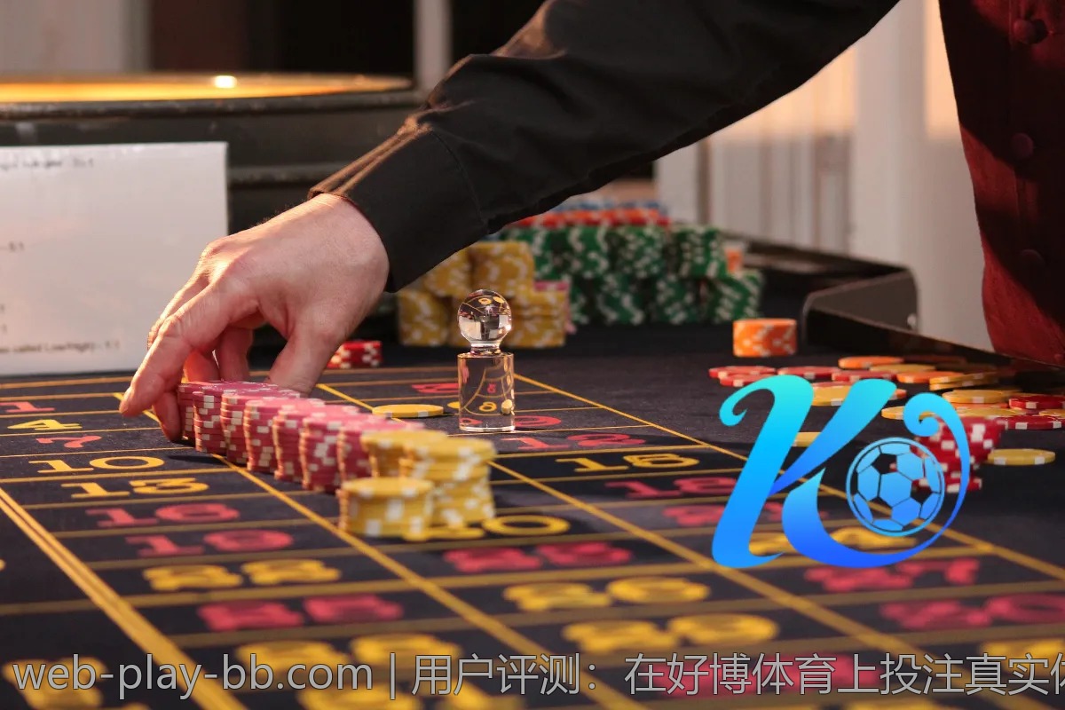 用户评测：在好博体育上投注真实体验分享